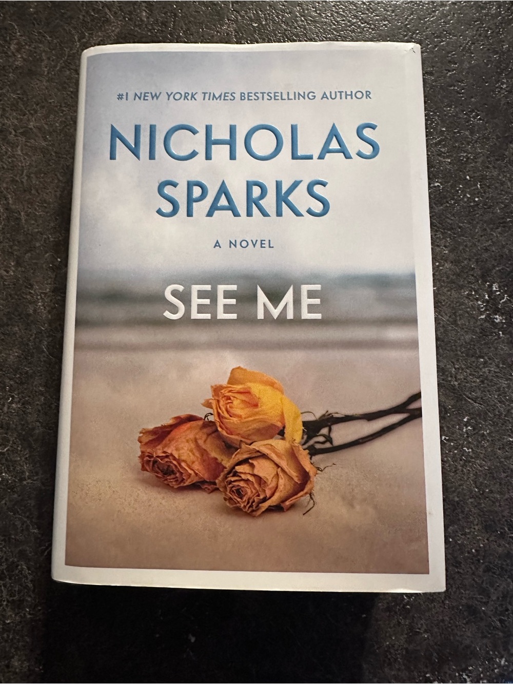 See Me Hardcover Novel - Blue & Cream Cover
